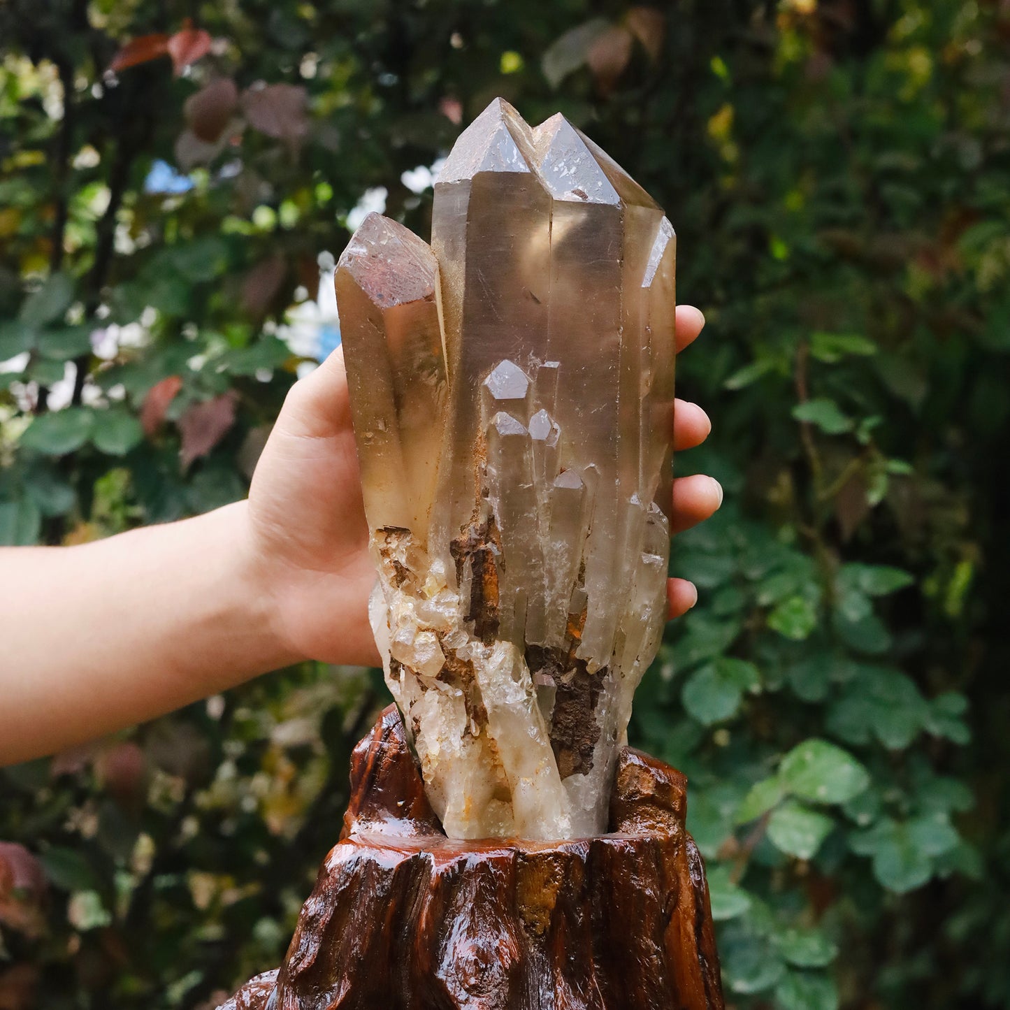 Natural citrine cluster with wooden stand